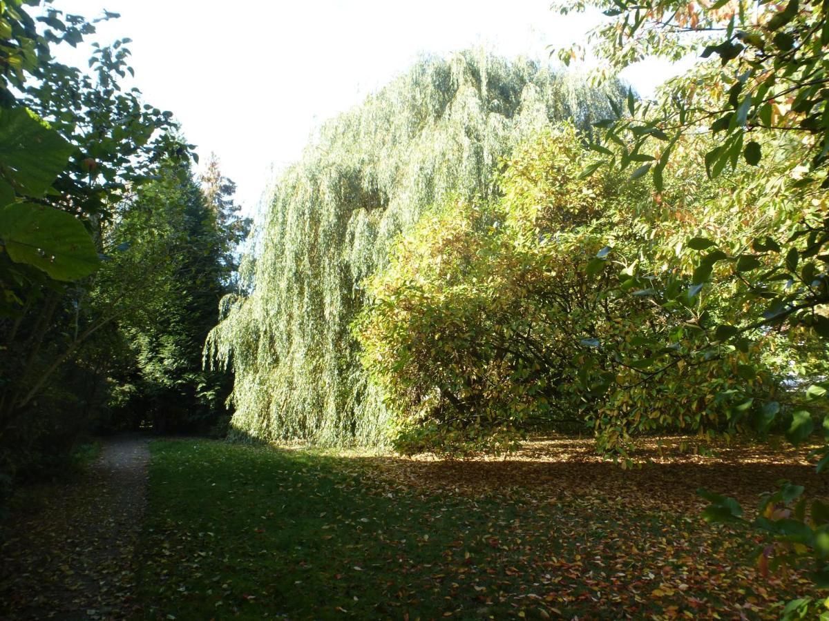 Fewo Im Naturschutzgebiet Hiddenhausen エクステリア 写真