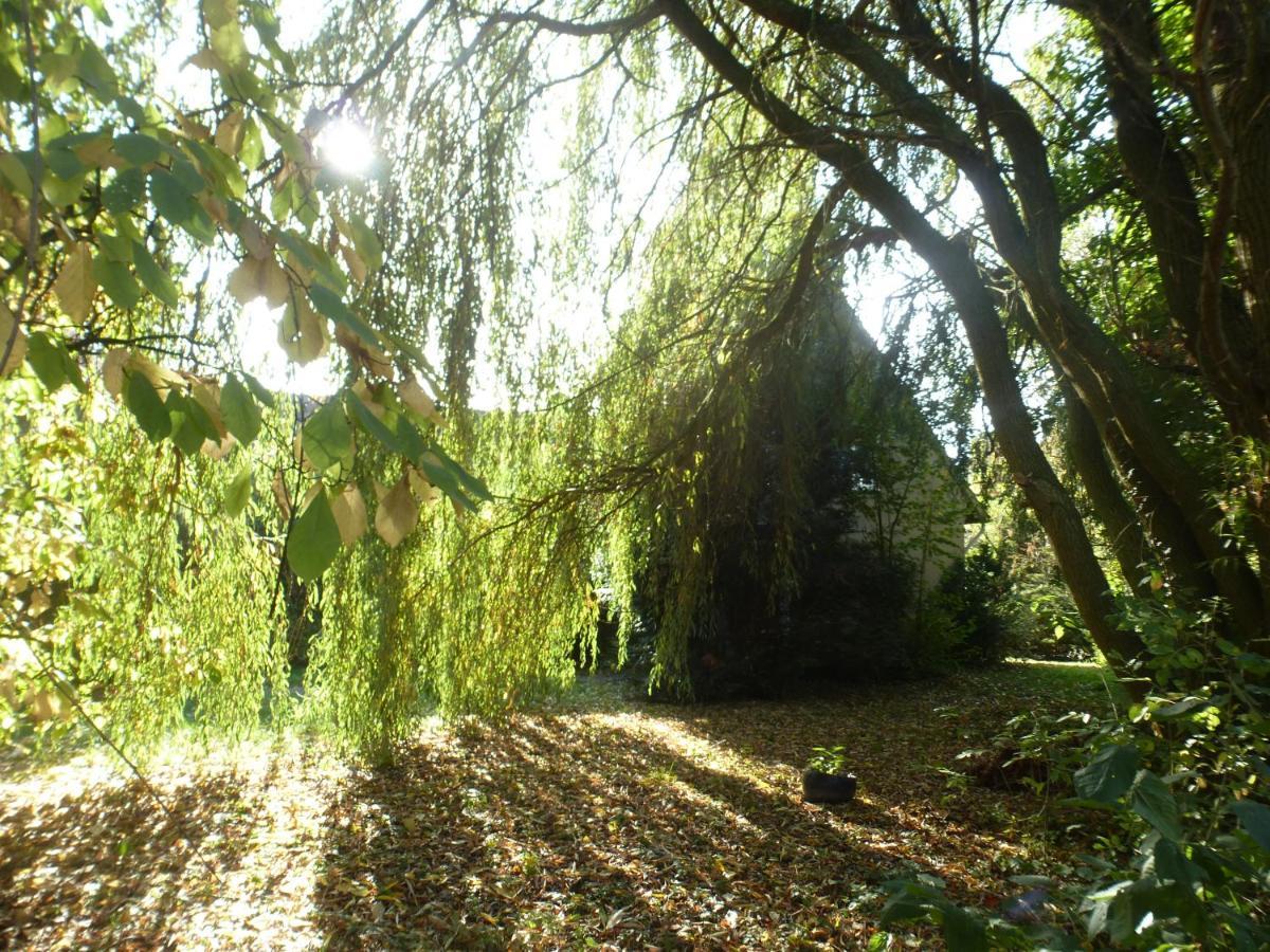 Fewo Im Naturschutzgebiet Hiddenhausen エクステリア 写真