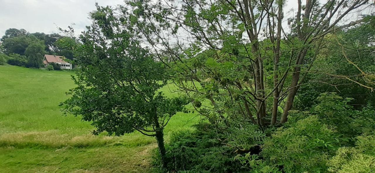 Fewo Im Naturschutzgebiet Hiddenhausen エクステリア 写真